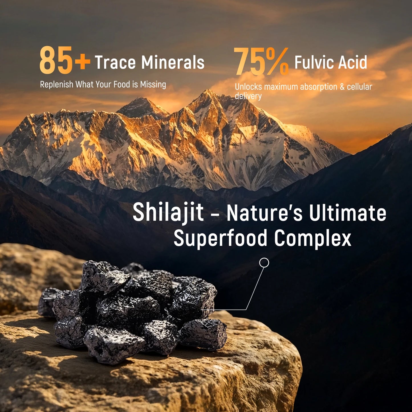 SHILAJIT GUMMIES